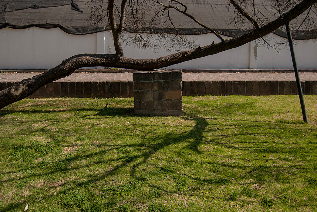 Obra, fotografía, Alberto Báez Munguía