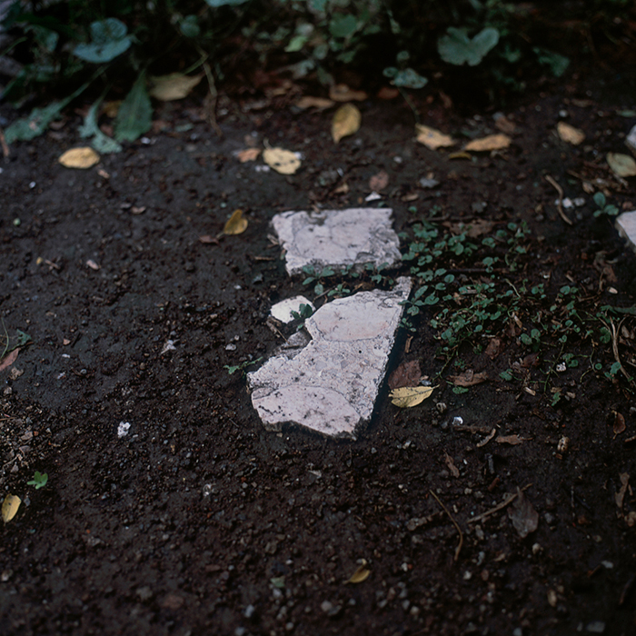 Obra, fotografía, Alberto Báez Munguía