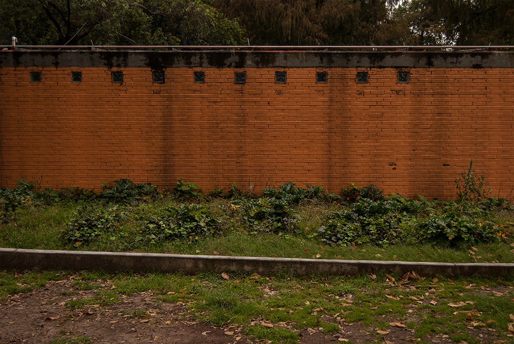 Obra, fotografía, Alberto Báez Munguía