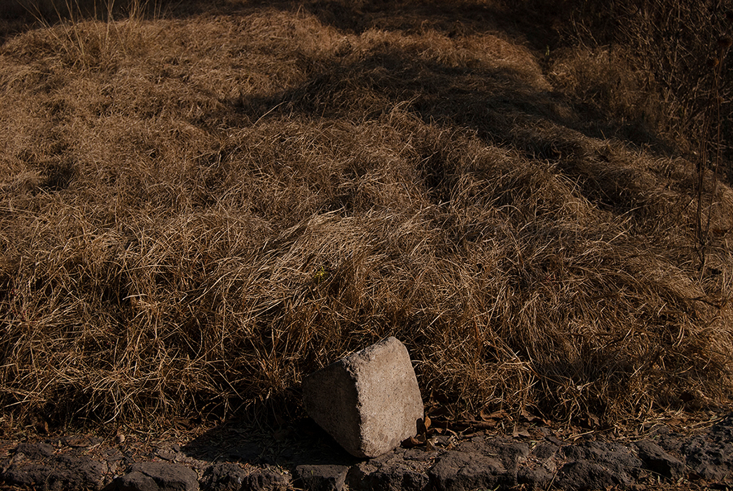 Obra, fotografía, Alberto Báez Munguía