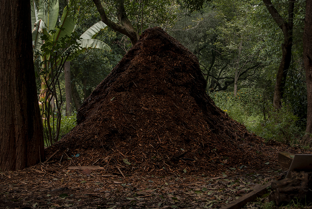 Obra, fotografía, Alberto Báez Munguía