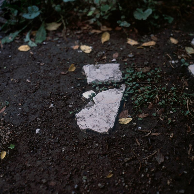 Sin título, 2012