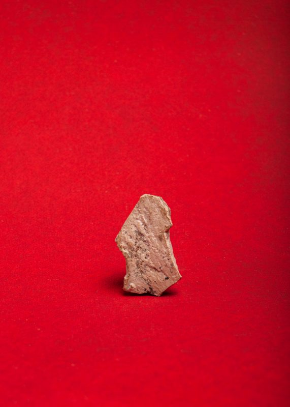Fig. 12 Tepalcate A, Cacaxtla, 2025