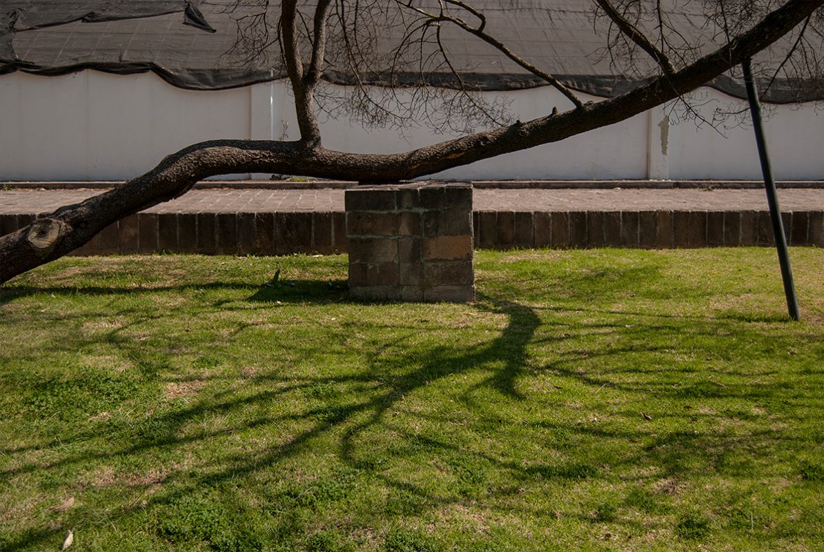 Ensayo no. 5, 2016