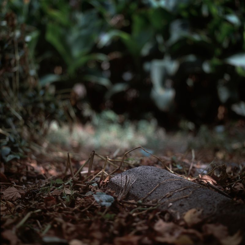 Sin título, 2012
