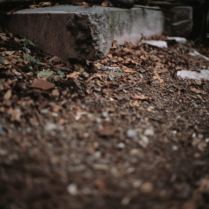 Sin título, 2012