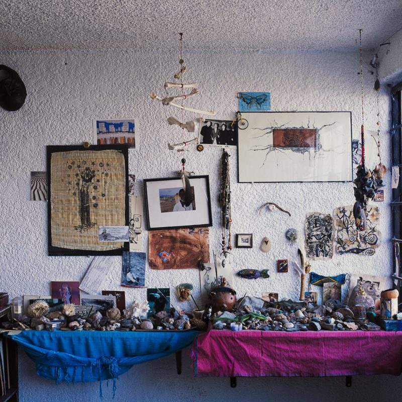 Luisa, 2009
