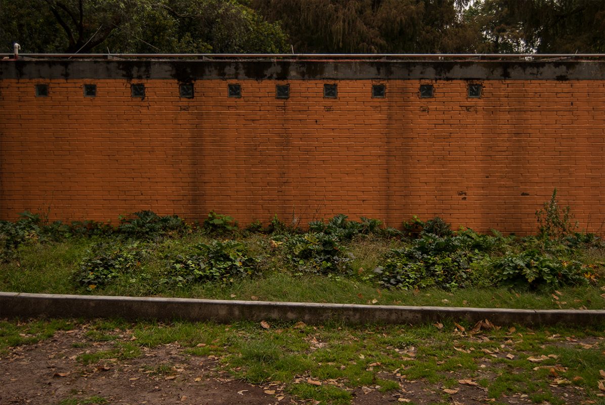 Ensayo no. 10, 2015
